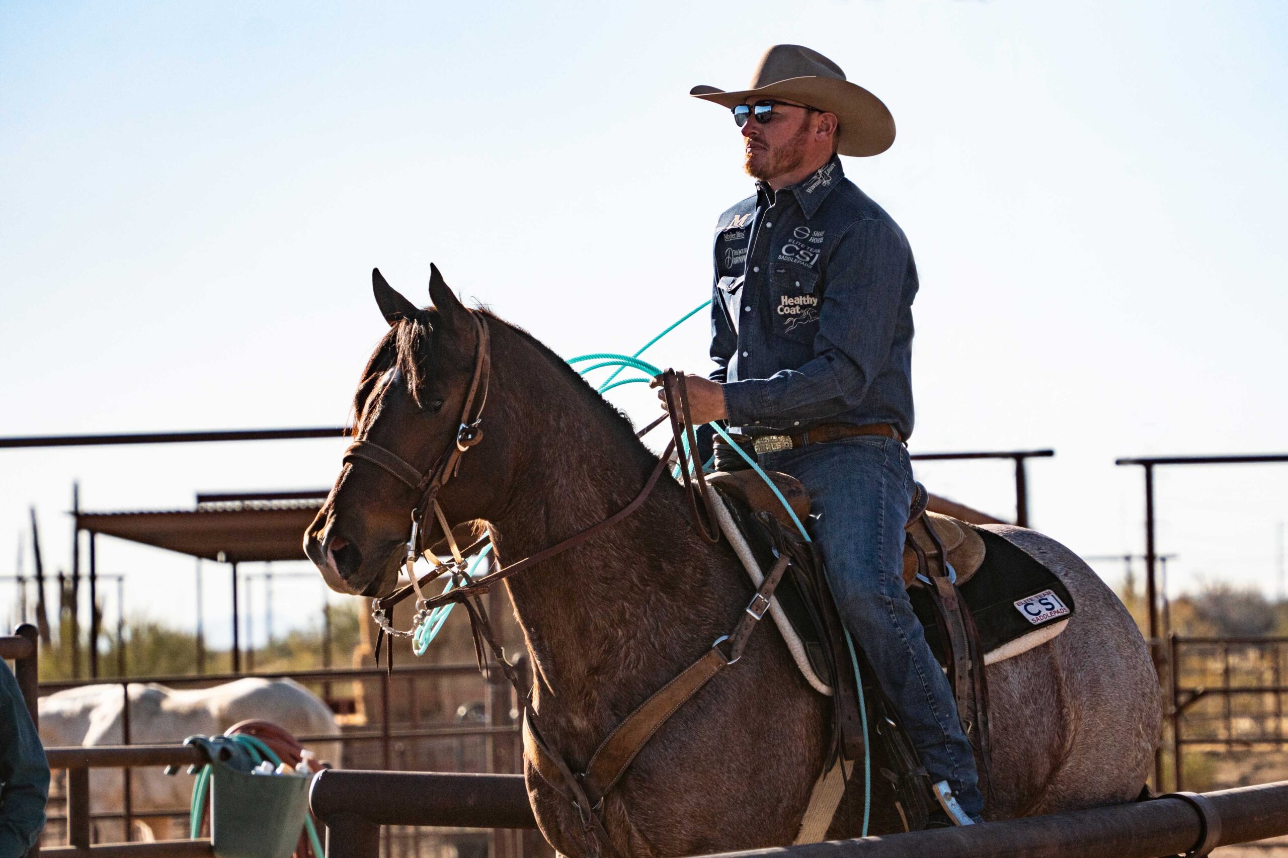 David Sharp Rope horse trainer on his horse.