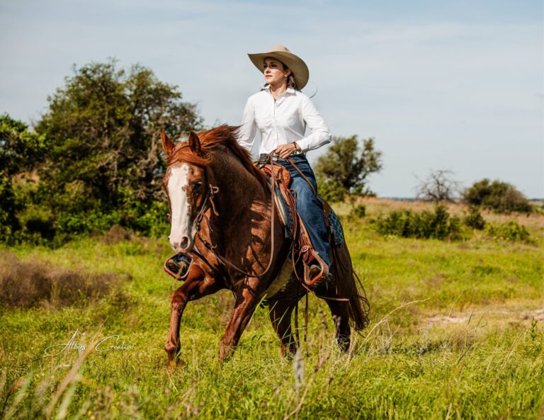 Equine Photography Videography 768x593