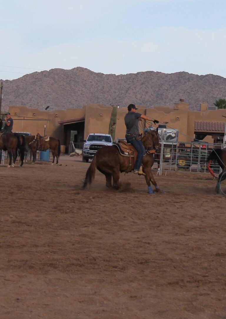 IMG 1487 768x1083