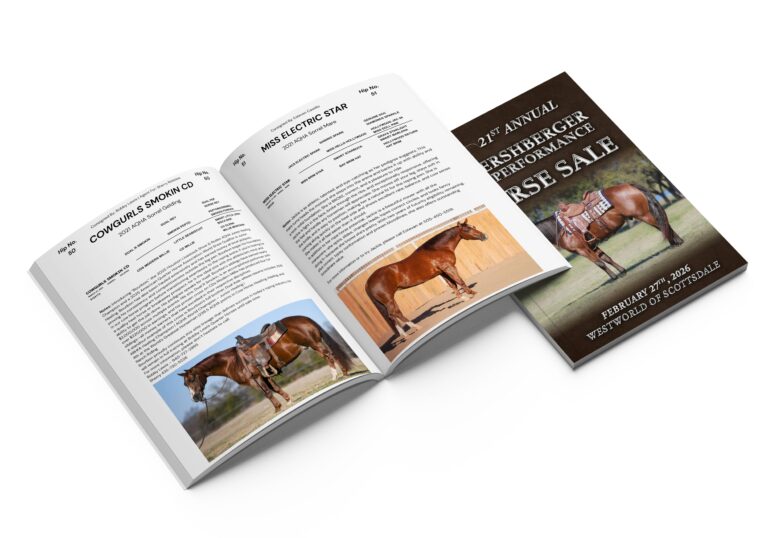 hershberger Performance Horses 768x538