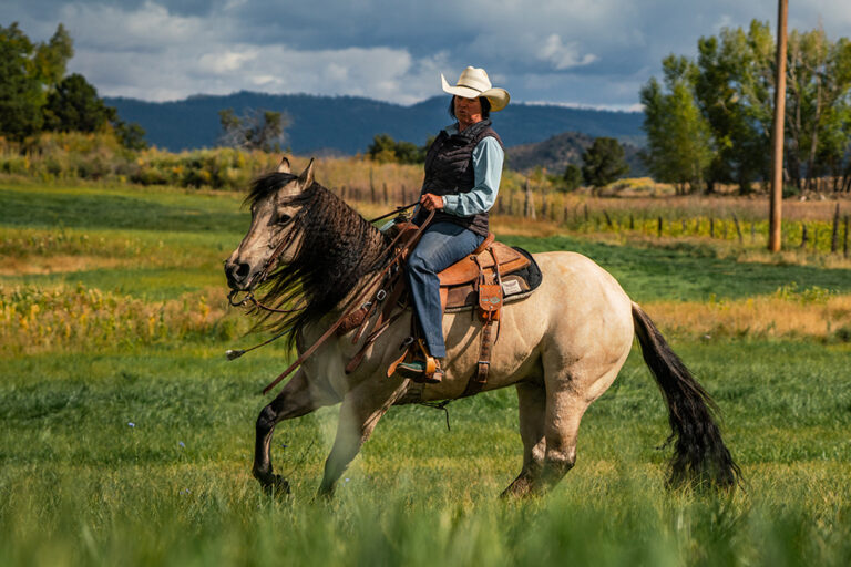 kylie 9 20 25 pasture 157 768x512