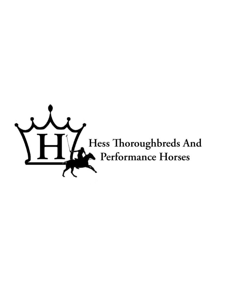 HESS LOGO 2 Copy 768x1013
