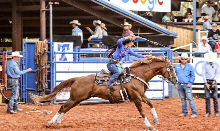 IMG 1331 768x458