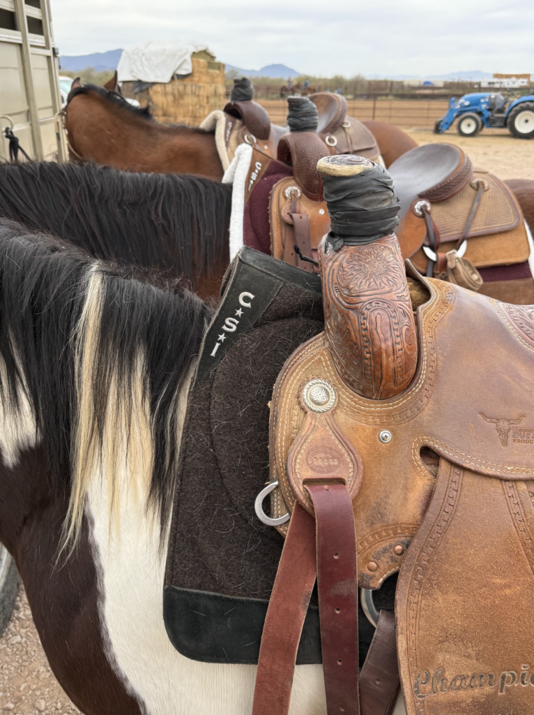 Up Close View of CSI Saddle Pads