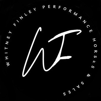 Finley performance horses 1