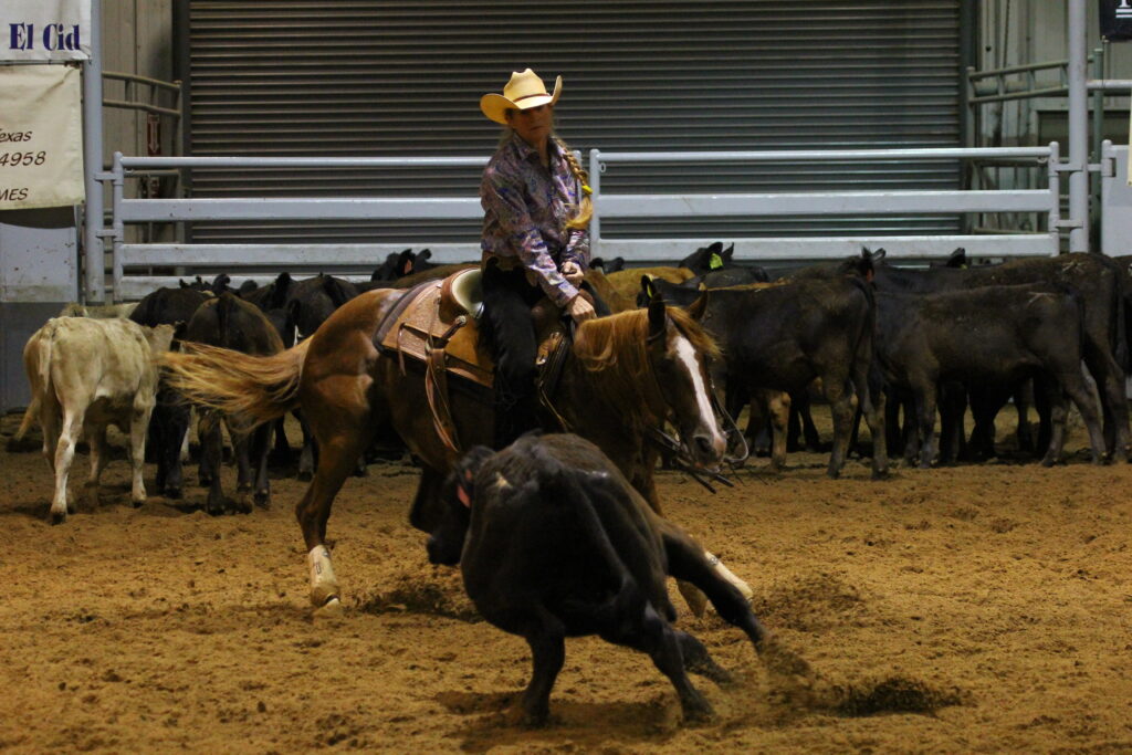 Rider holding correct working position on a cow during a ranch cutting run