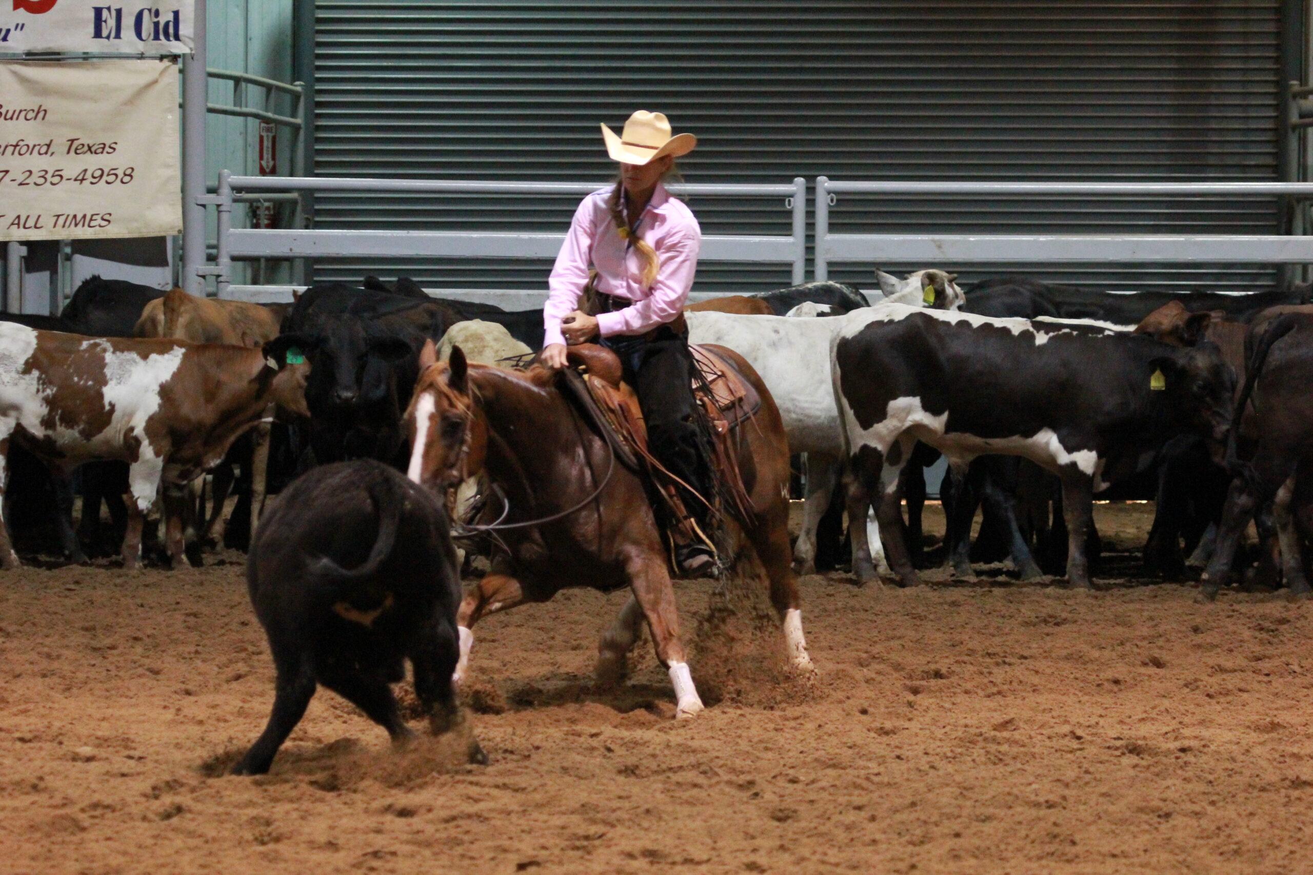 Horse show judge Jan Dublin cutting a black cow on a sorrel horse in front of the herd