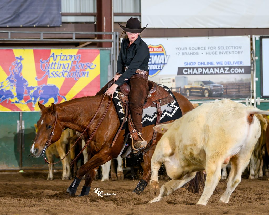 Caroline Arendt working a cow on her cutting horse, an example of everyday horse business content.