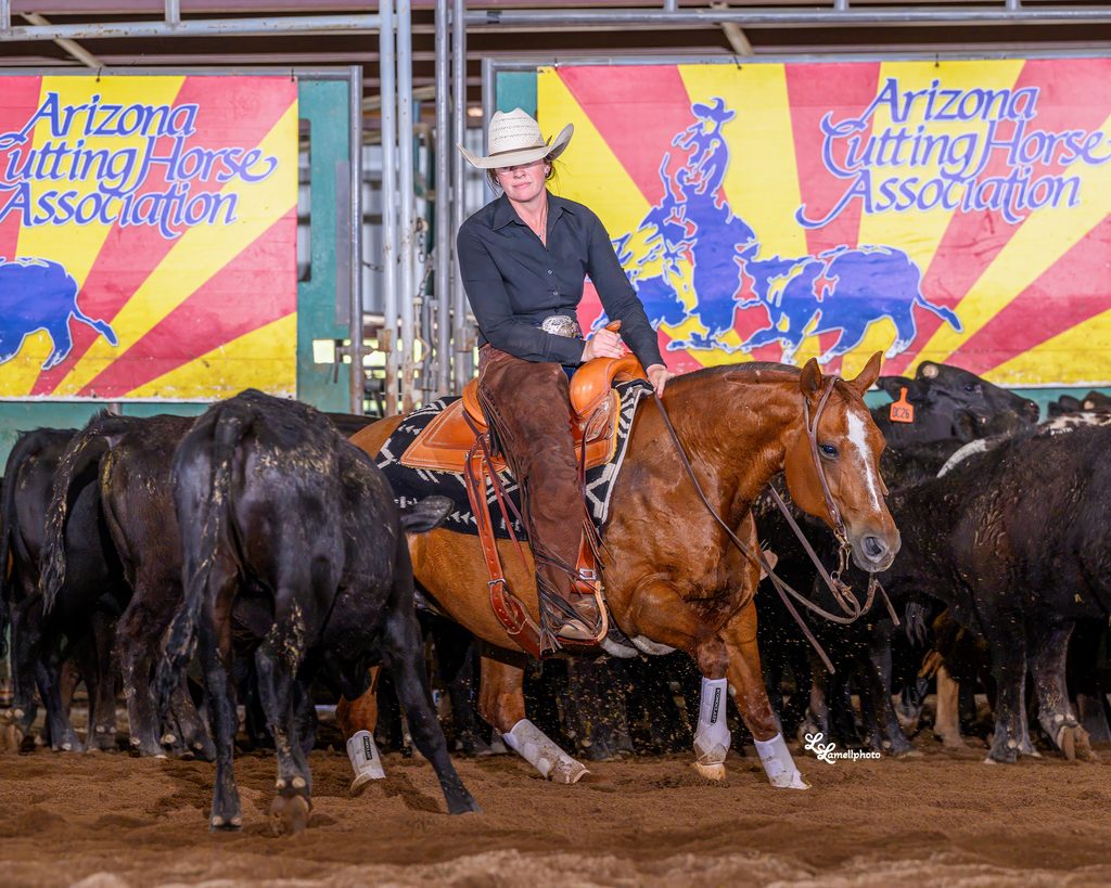 Caroline Arendt cutting cattle on a sorrel horse at an Arizona Cutting Horse Association show.